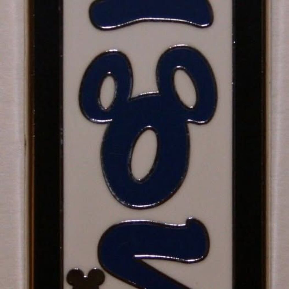 2010 Hidden Mickey - Disney Resorts - Animal Kingdom